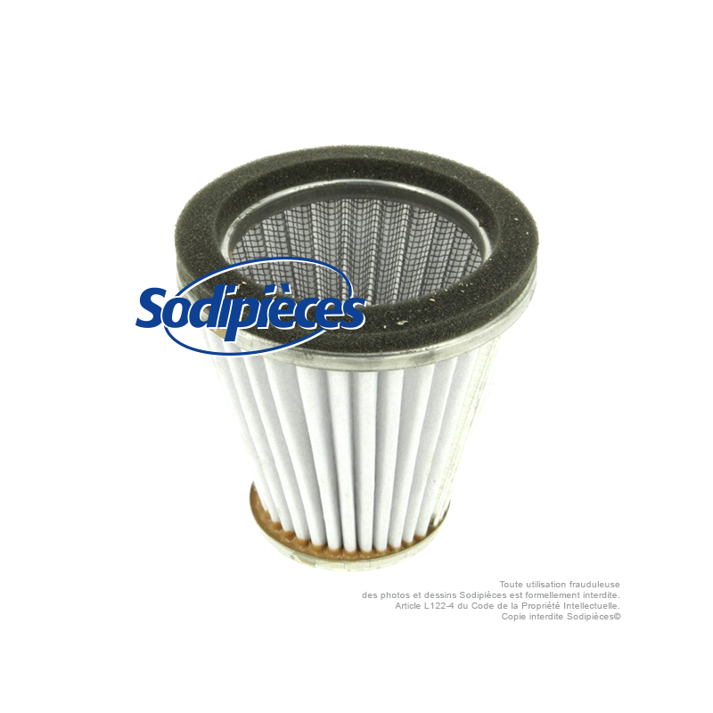 Filtre à air pour Kawasaki et Iseki 49064, 2022