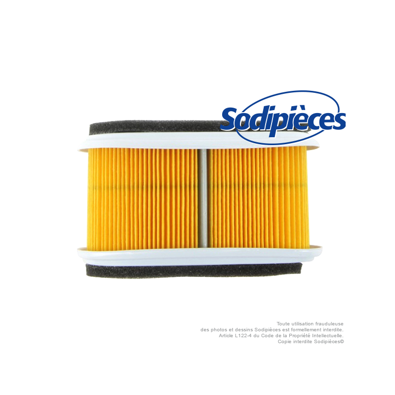 Filtre à air pour Kawasaki 11013-2093