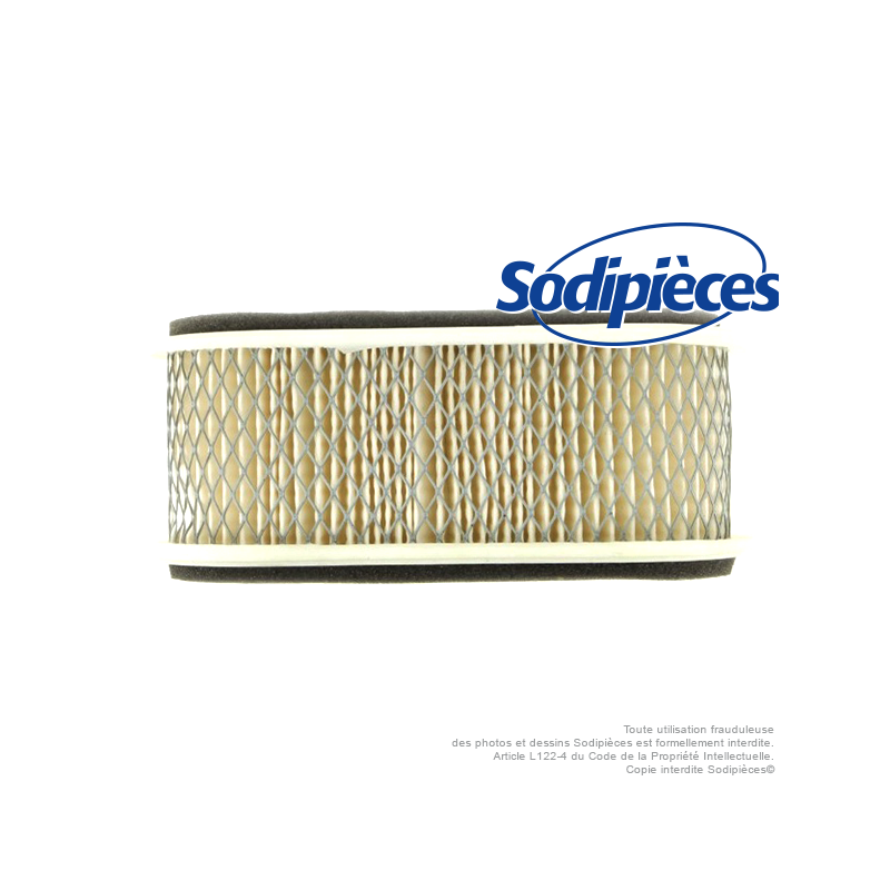 Filtre à air pour Kawasaki 11013-2135