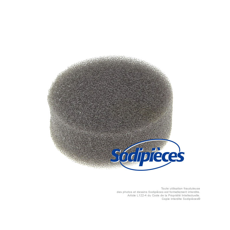 Filtre à air pour Lawn boy 604274