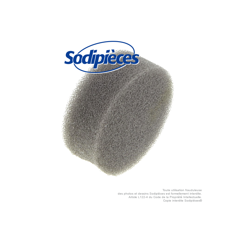 Filtre à air pour Lawn boy 604274