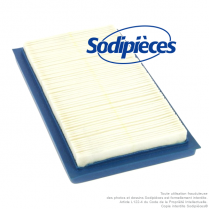 Filtre à air pour Lawn Boy 613361