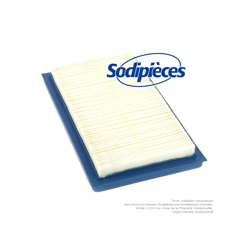 Filtre à air pour Lawn Boy 613361