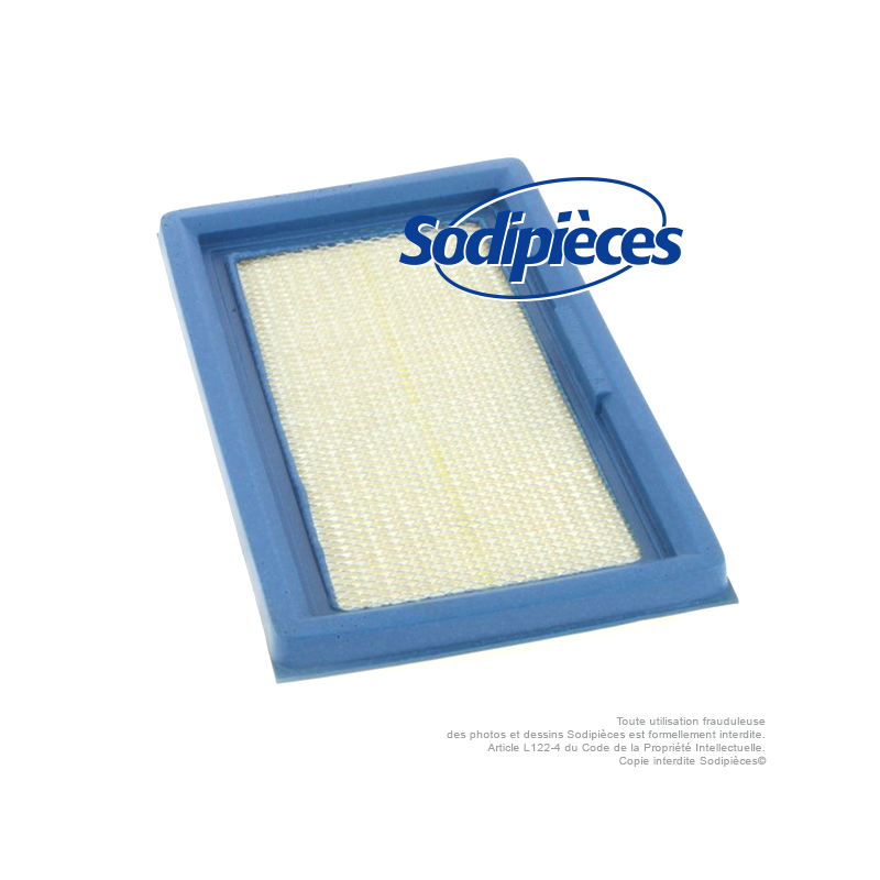 Filtre à air pour Lawn Boy 613361