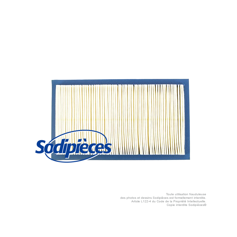 Filtre à air pour Lawn Boy 613361