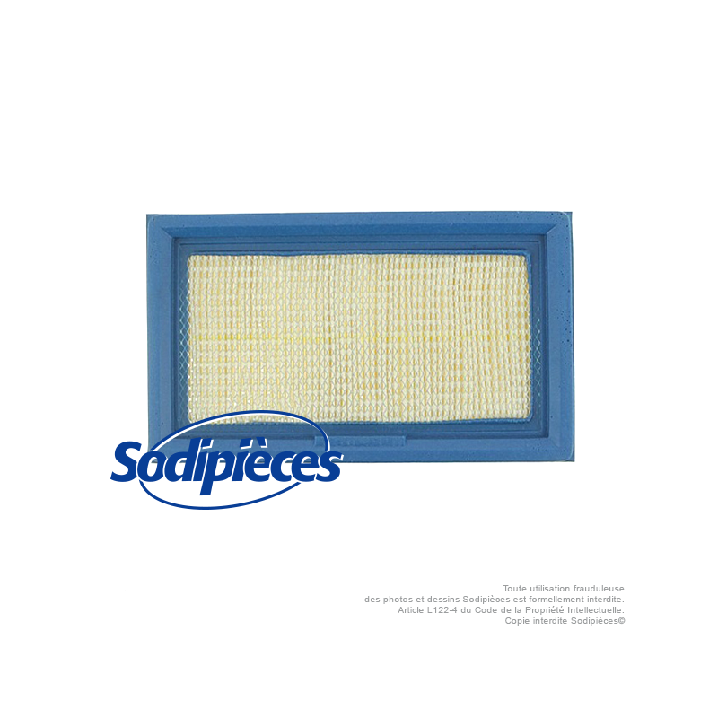 Filtre à air pour Lawn Boy 613361