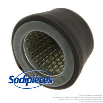 Filtre à air pour Robin 206-32601-07