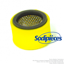 Filtre à air pour Robin 157-36201-01