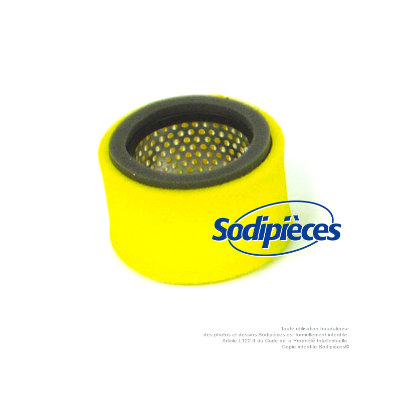 Filtre à air pour Robin 157-36201-01