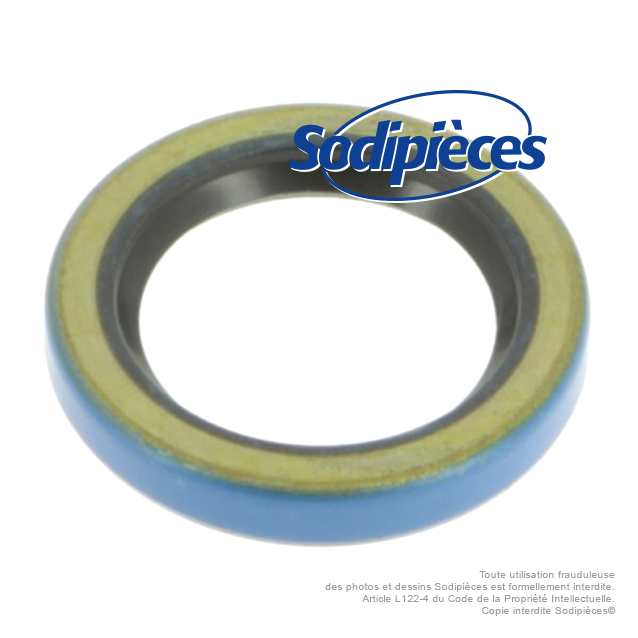 Joint spi pour Lawn Boy