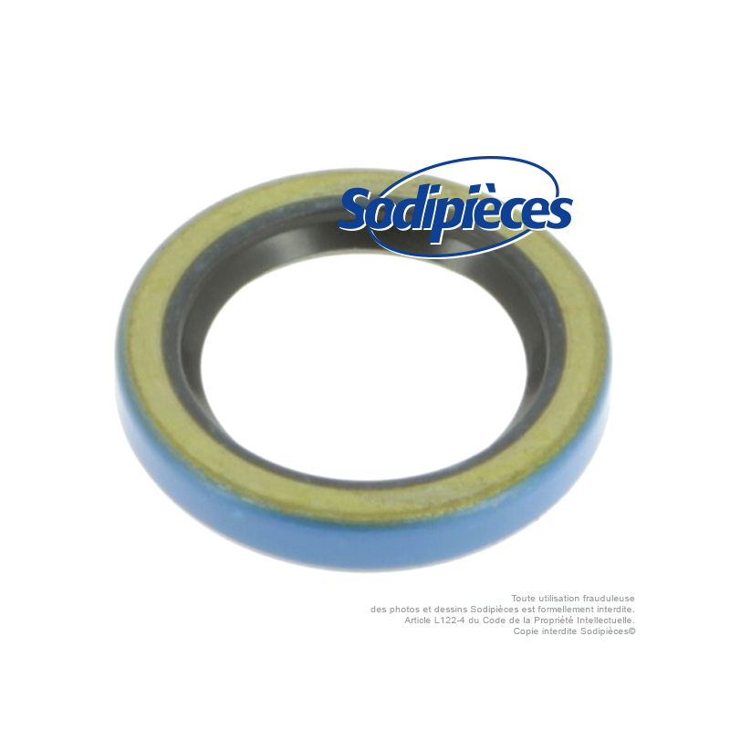 Joint spi pour Lawn Boy