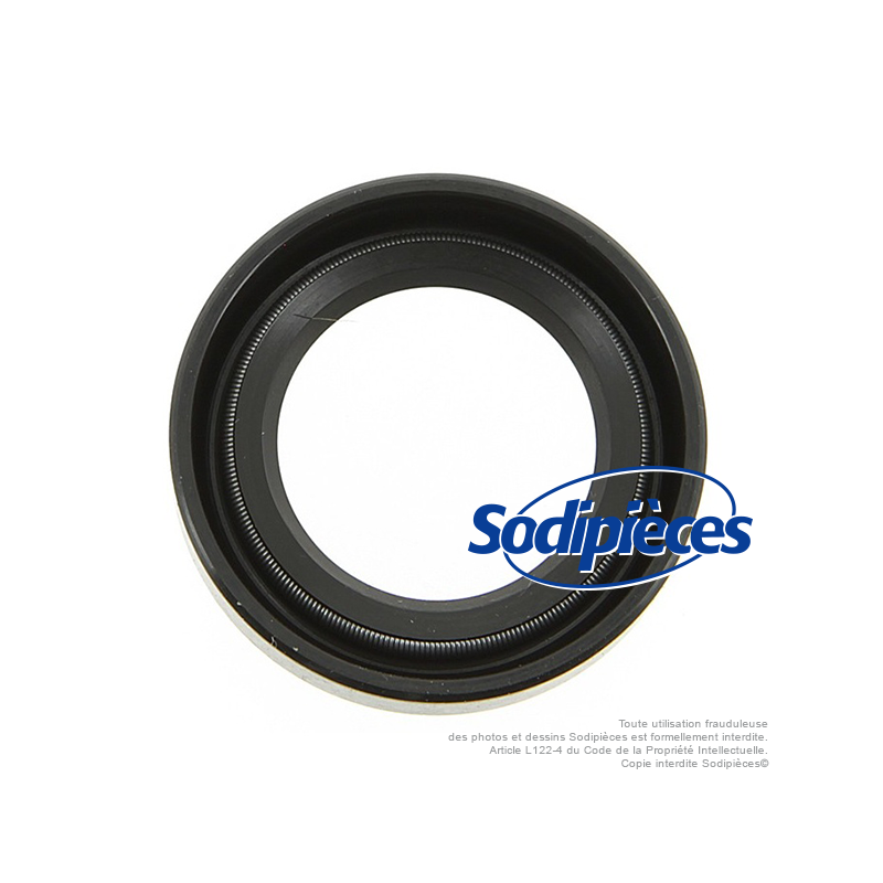 Joint spi pour B&S 391483-291841