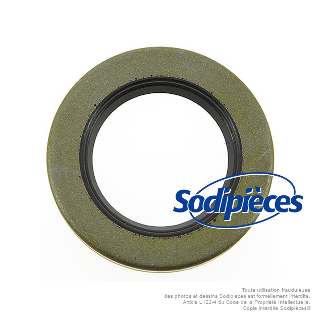 Joint spi pour B&S 299609