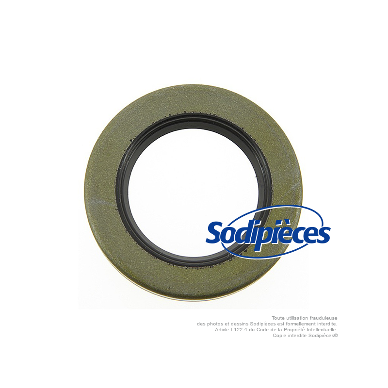 Joint spi pour B&S 299609