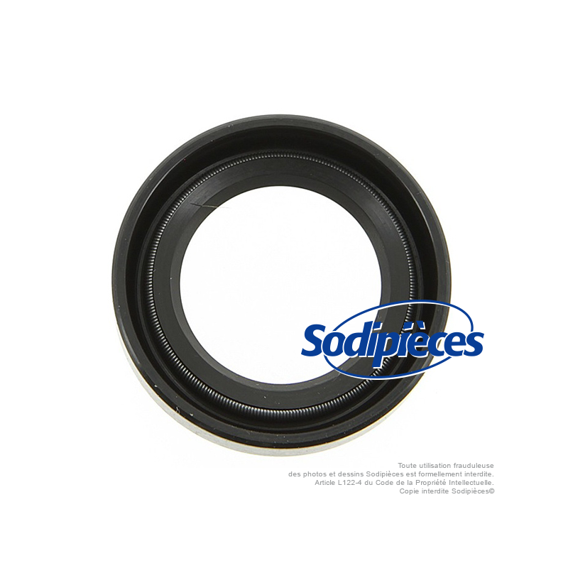 Joint spi pour B&S 299609