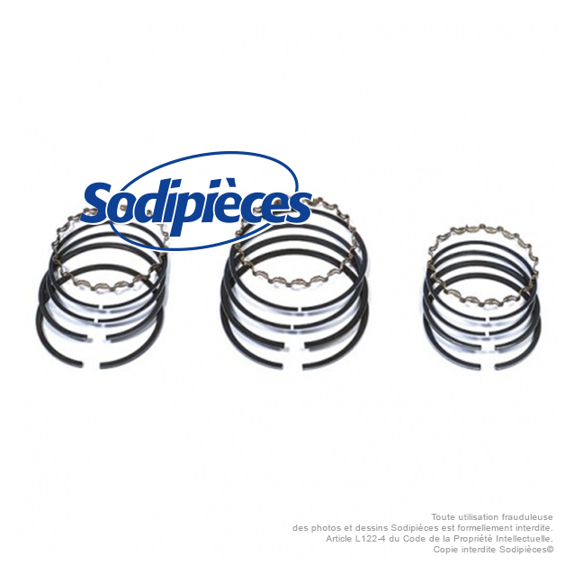 Jeu de segments pour Briggs & Stratton 295 852 et 297 815 