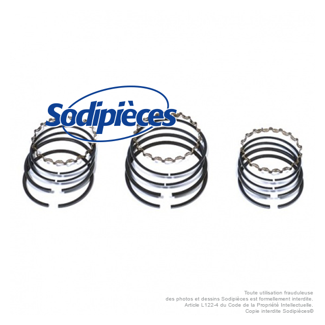 Jeu de segments pour Briggs & Stratton  294 232 et 295 657