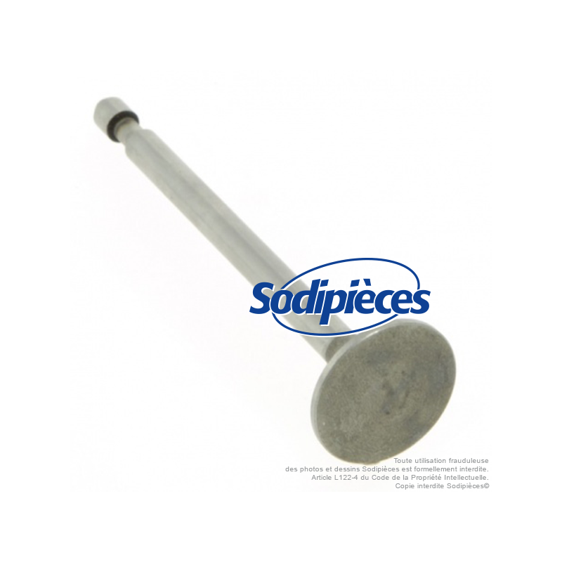 Soupape pour Briggs & Stratton 261 233