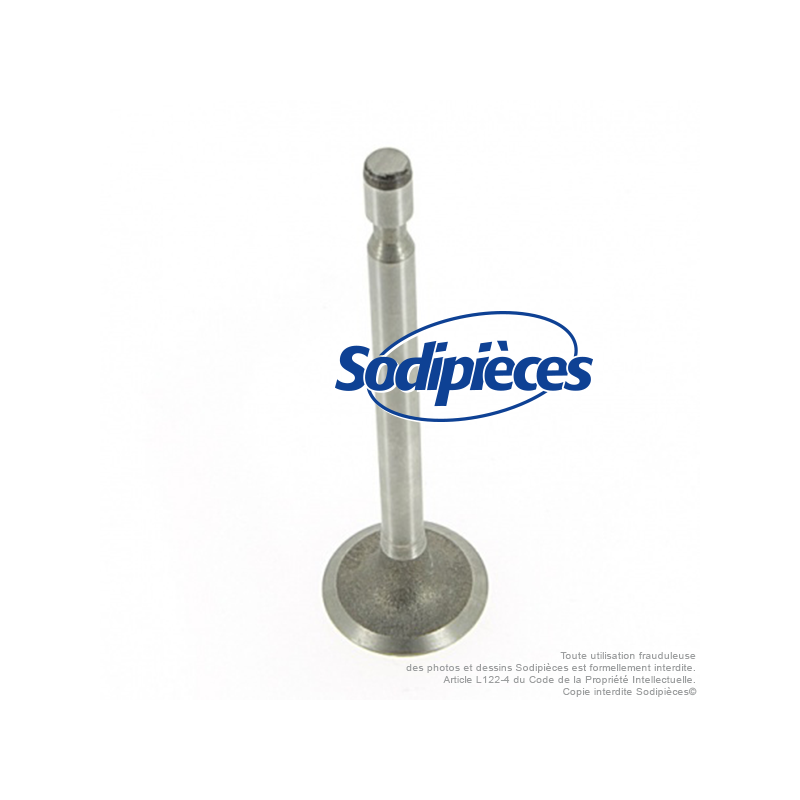 Soupape pour Briggs & Stratton 261 055