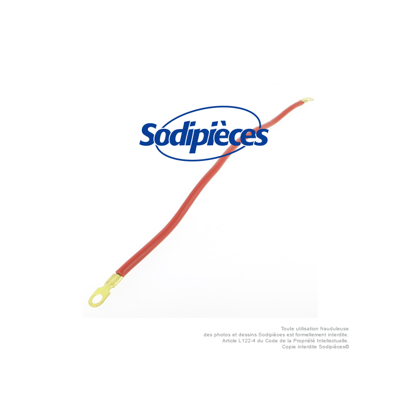 Cable batterie rouge L : 50 cm
