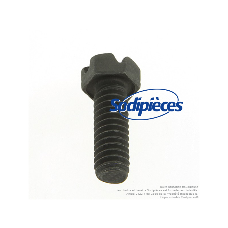 Vis de maintien pour B&S  93357