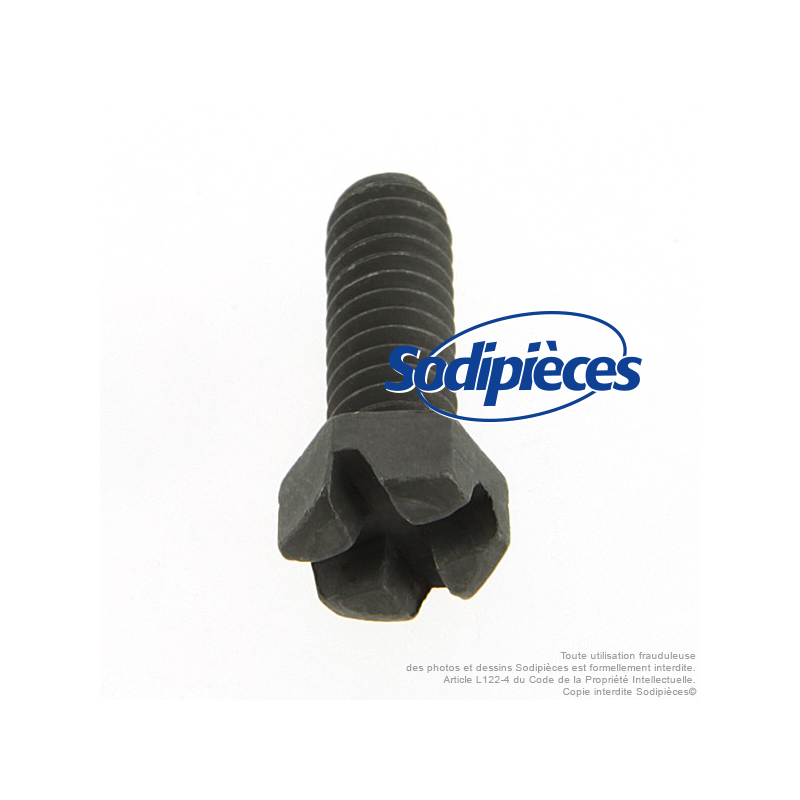 Vis de maintien pour B&S  93357
