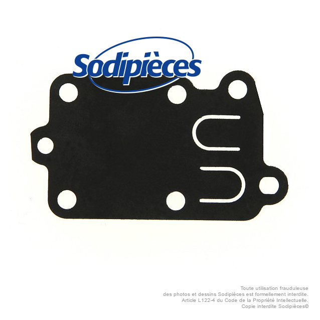 Membrane pour carburateur Briggs et Stratton 272538