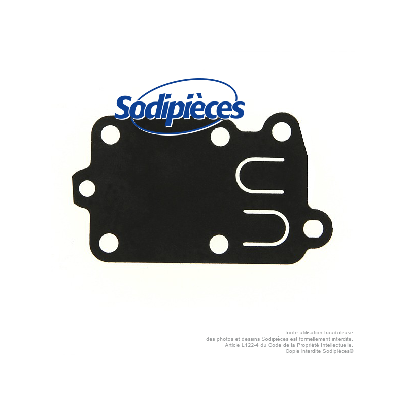 Membrane pour carburateur Briggs et Stratton 272538