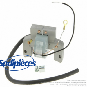 Bobine D'allumage BRIGGS & STRATTON 298502 - Pièce Originale Pour Moteur Tondeuse, Générateur
