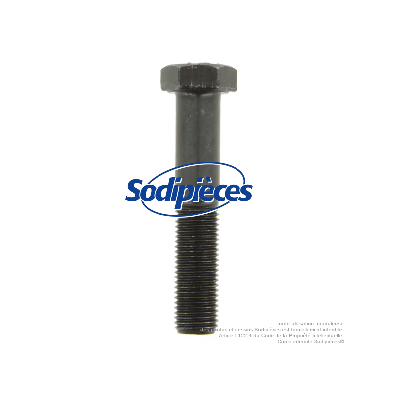 Vis de lame diam 9,5 mm . Longueur 51 mm