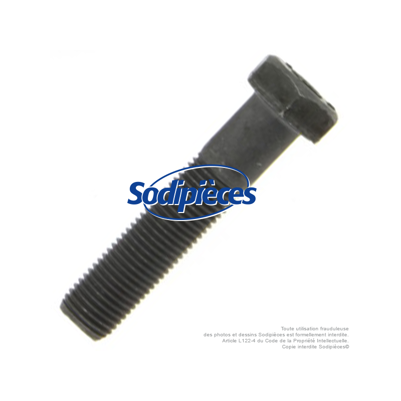 Vis de lame diam 9,5 mm. Longueur 45 mm