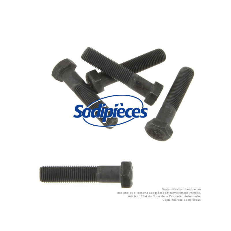 Vis de lame diam 9,5 mm. Longueur 45 mm