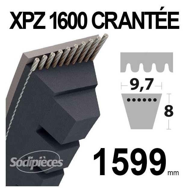 Courroie XPZ1600 Trapézoïdale crantée. 9,7 mm x 1599 mm.