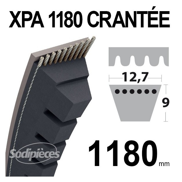 Courroie tondeuse XPA1180 Trapézoïdale crantée. 12,7 mm x 1180 mm.