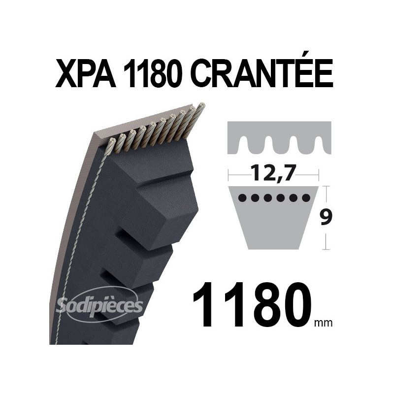 Courroie tondeuse XPA1180 Trapézoïdale crantée. 12,7 mm x 1180 mm.