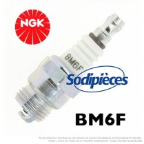 Bougie NGK type BM6F