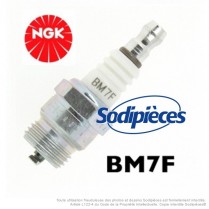 Bougie NGK type BM7F