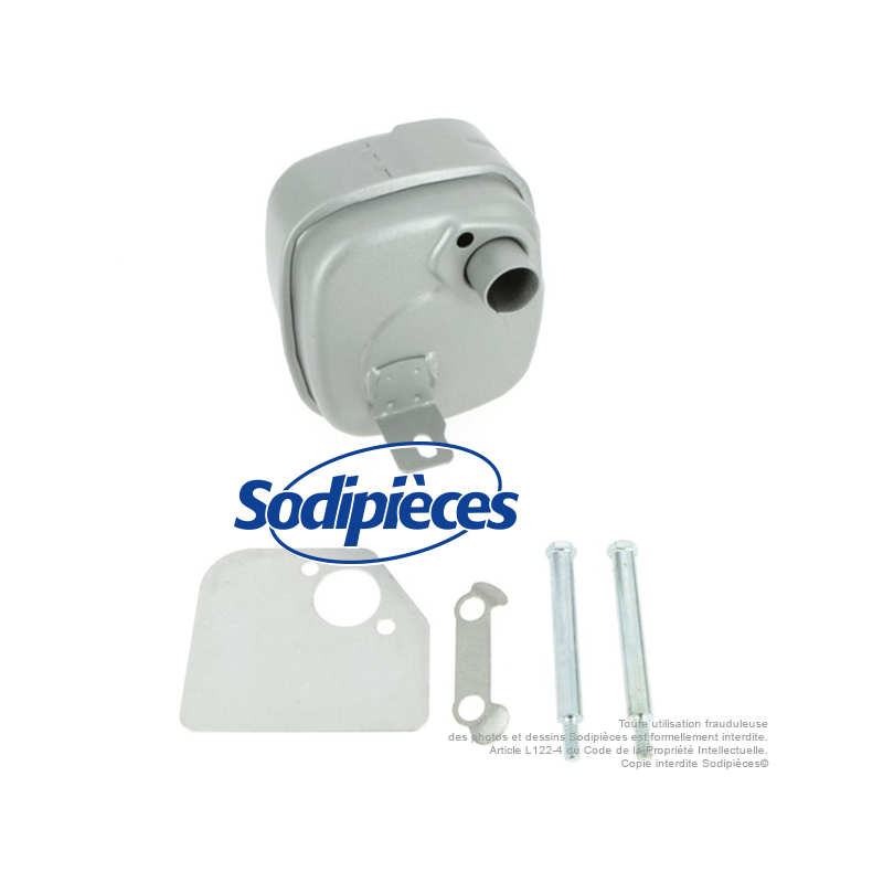 Silencieux pour B&S 391313