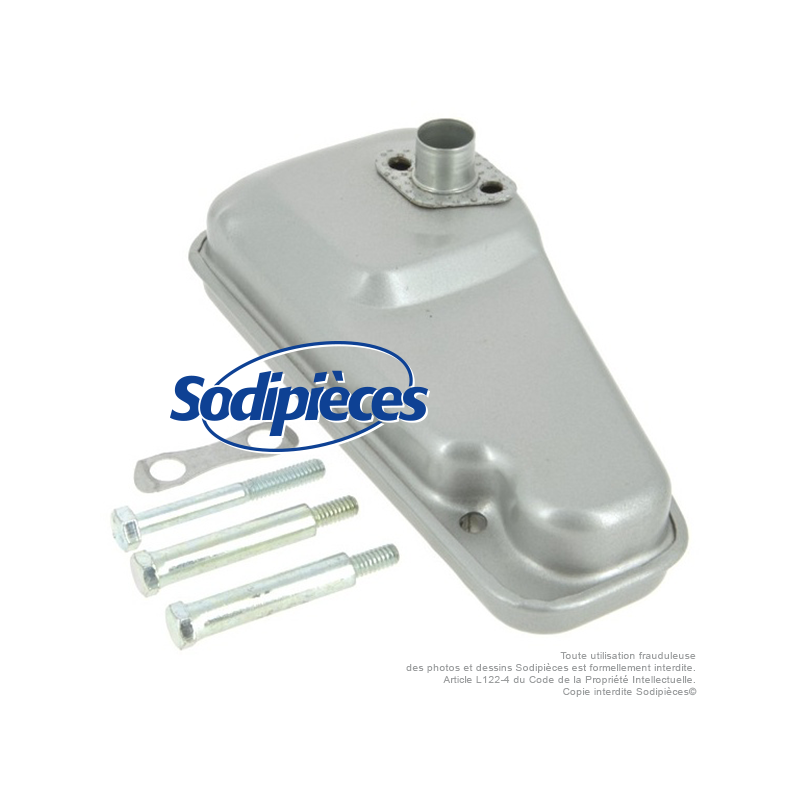 Silencieux pour B&S 391492