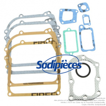 Jeu de joints pour B&S 298989