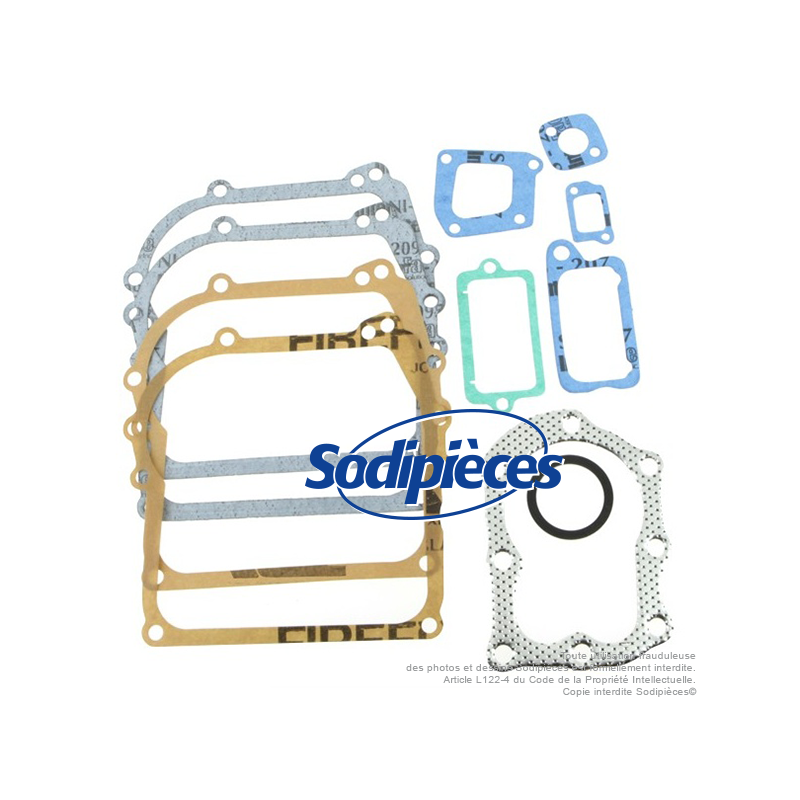 Jeu de joints pour B&S 298989