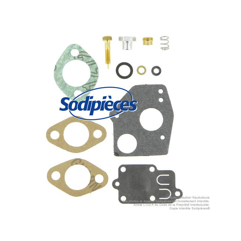 Kit réparation carburateur pour Briggs & Stratton Pulsa-jet