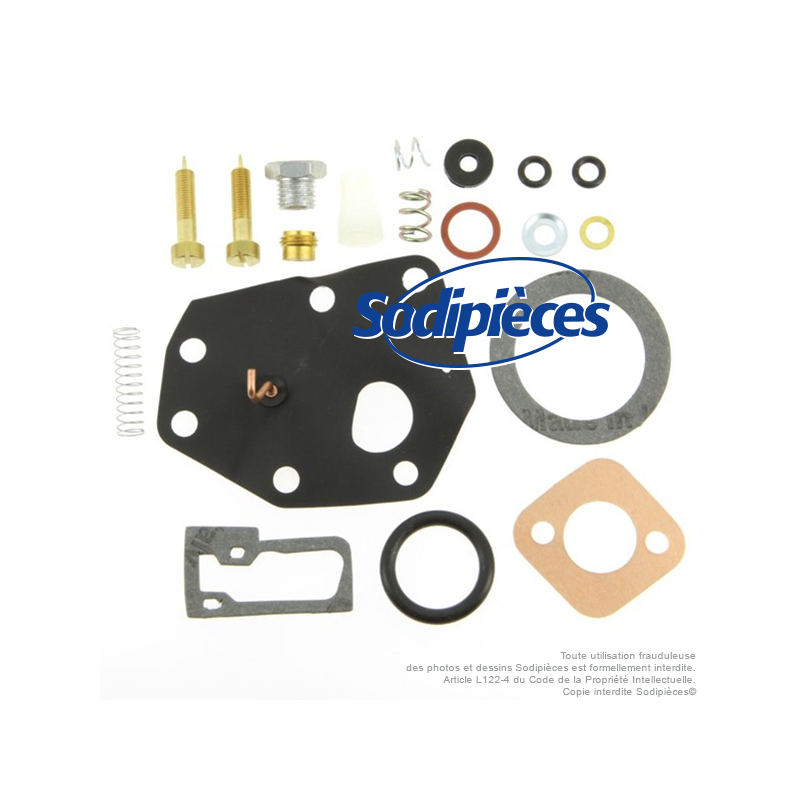 Kit réparation carburateur pour Briggs & Stratton N° 494622