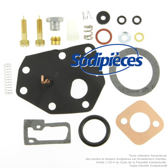 Kit réparation carburateur pour Briggs & Stratton N° 494622