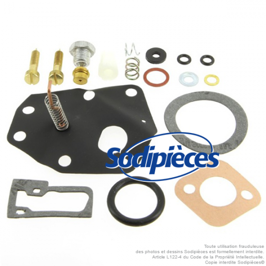 Kit réparation carburateur pour Briggs & Stratton N° 494622