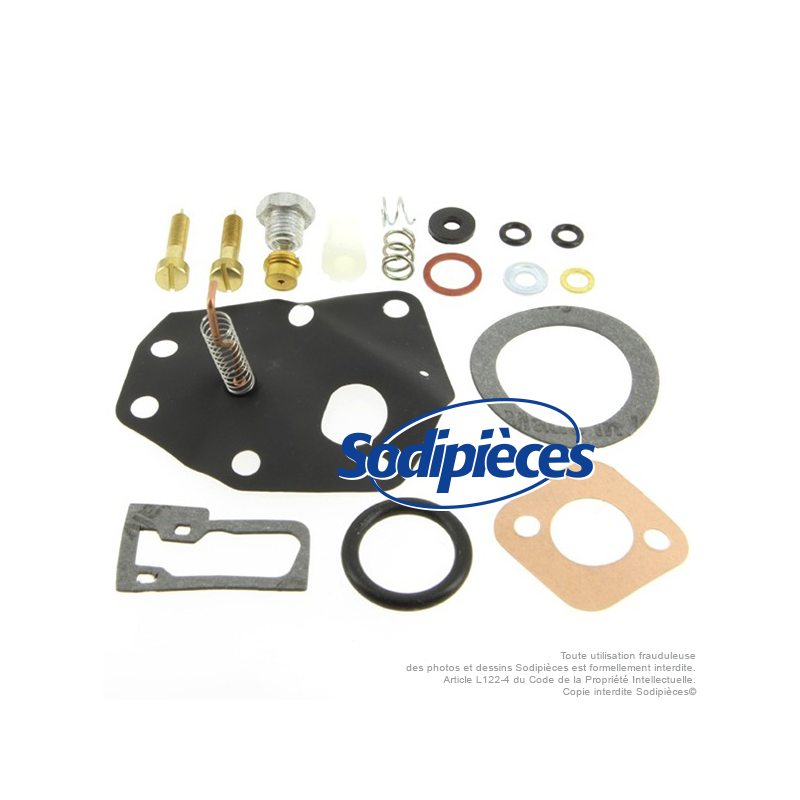 Kit réparation carburateur pour Briggs & Stratton N° 494622