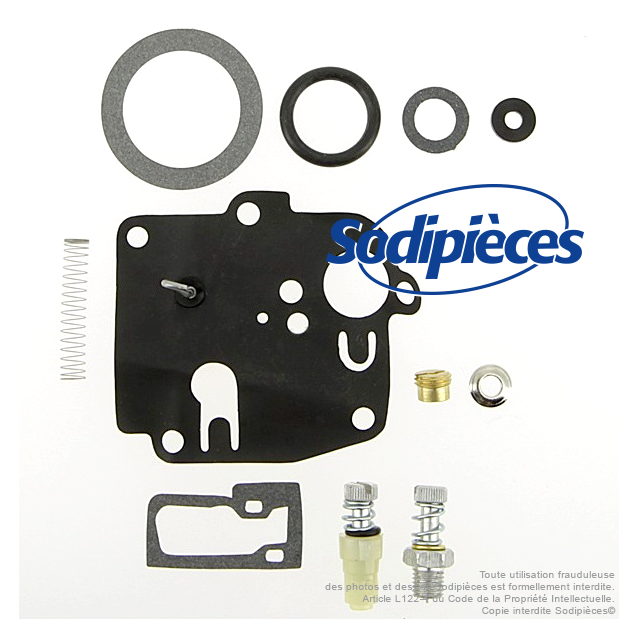 Kit réparation carburateur pour Briggs & Stratton N° 494623