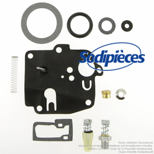 Kit réparation carburateur pour moteur BRIGGS et STRATTON Kit réparation carburateur pour moteur BRIGGS et STRATTON