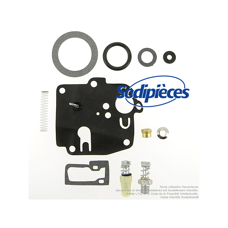Kit réparation carburateur pour Briggs & Stratton N° 494623