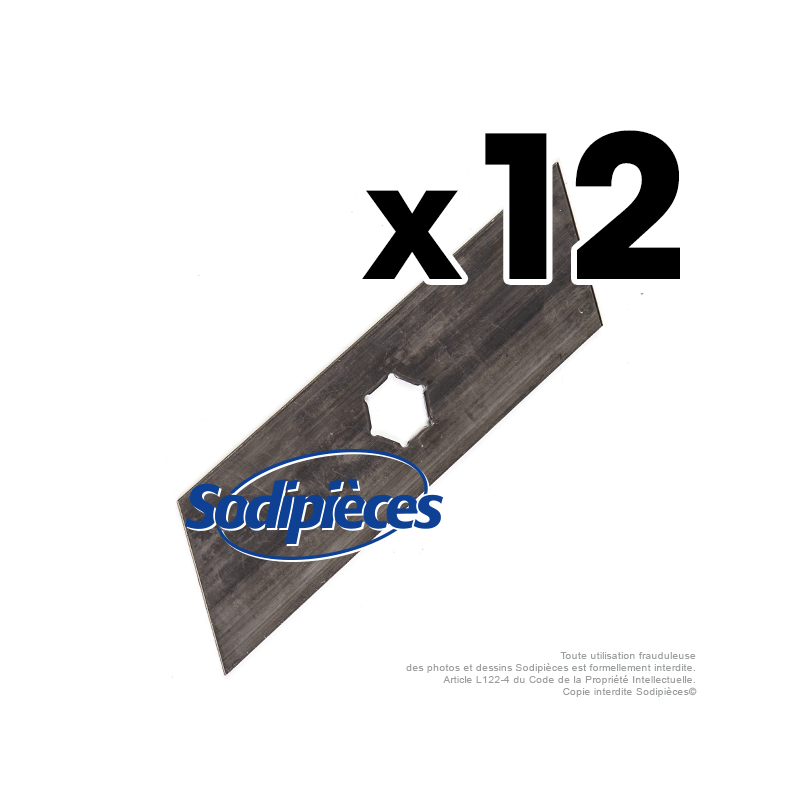 Couteaux scarificateurs pour Ering n° origine E67110. Jeu de 12